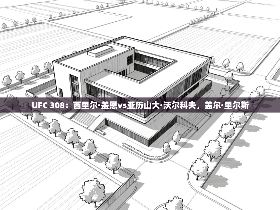 UFC 308：西里尔·盖恩vs亚历山大·沃尔科夫，盖尔·里尔斯