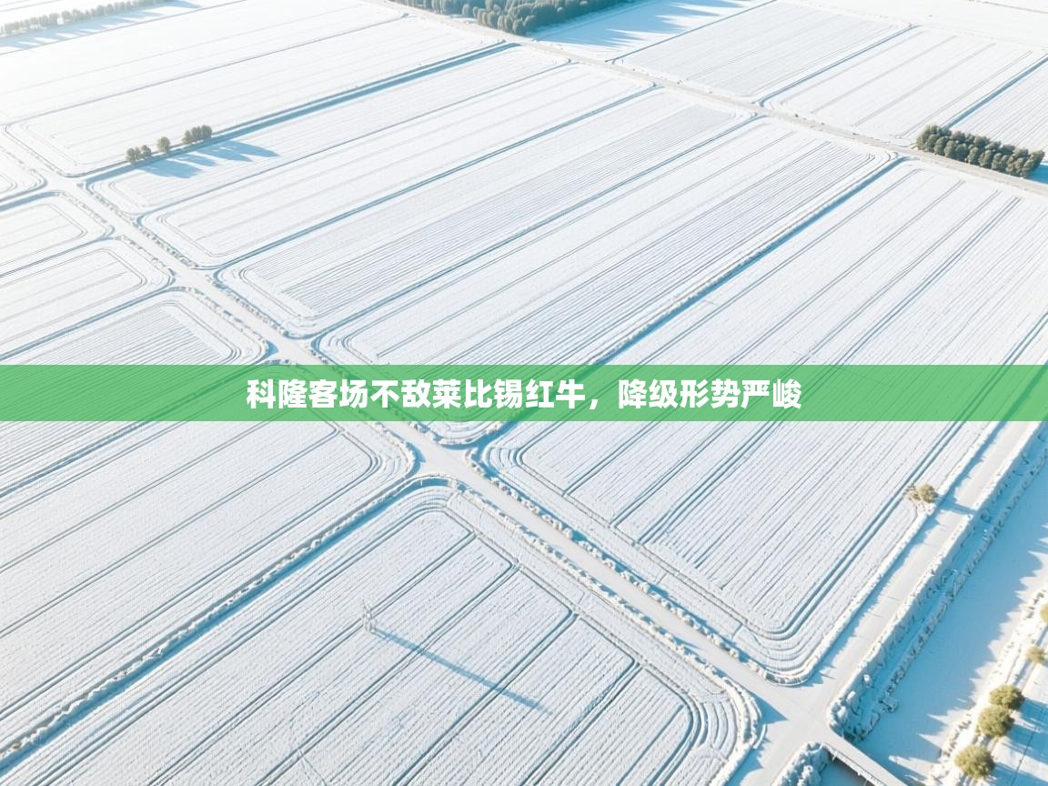 科隆客场不敌莱比锡红牛，降级形势严峻  第2张