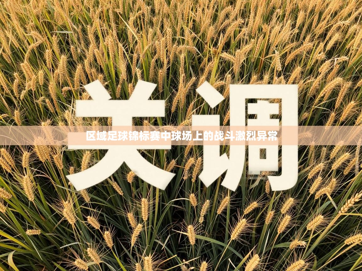 区域足球锦标赛中球场上的战斗激烈异常